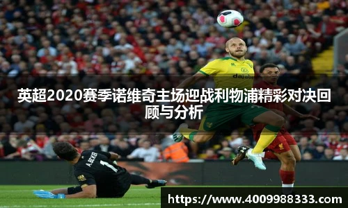 伟德bv国际体育